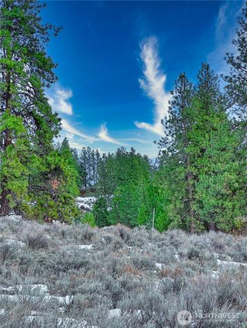 1111 White Tail Lane Tonasket WA 98855