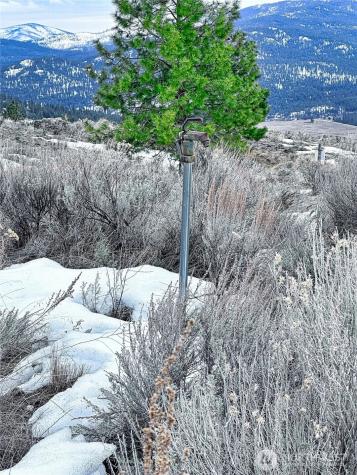 1111 White Tail Lane Tonasket WA 98855