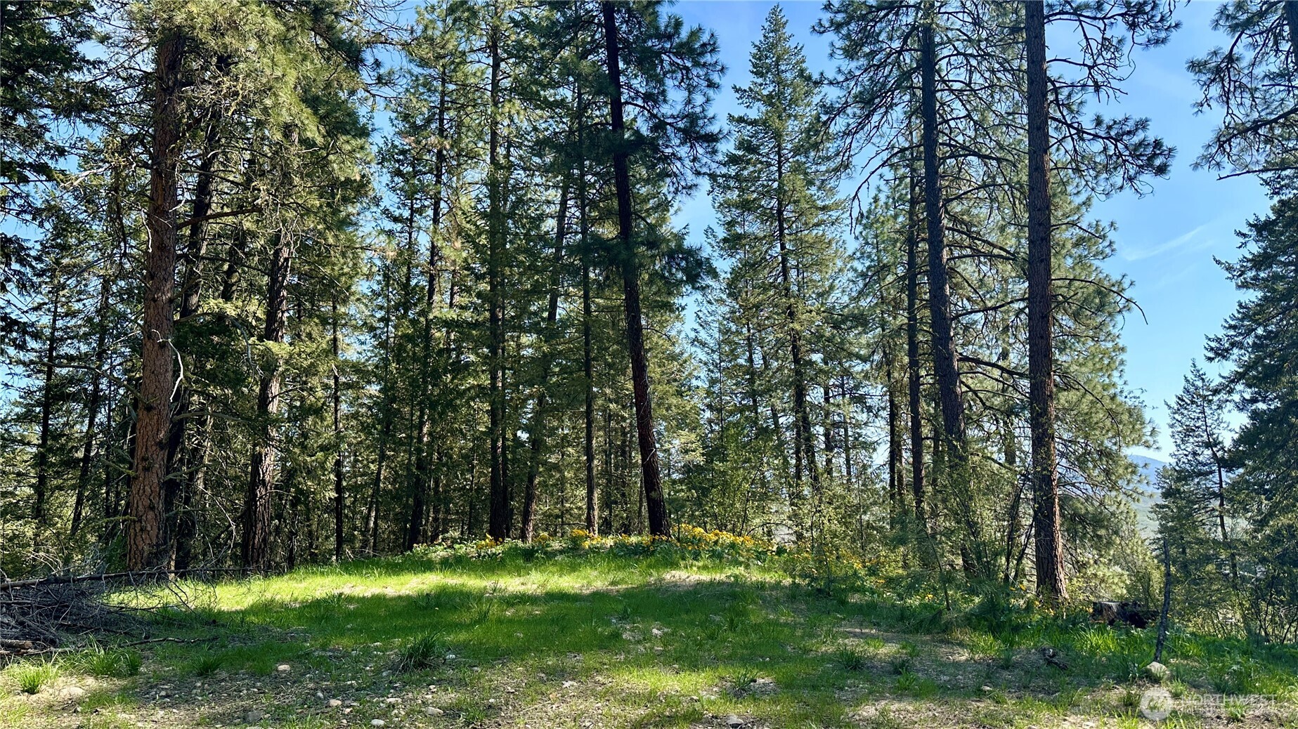 13 Sundance Lane Winthrop WA 98862