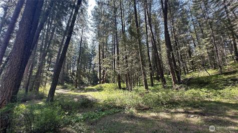 13 Sundance Lane Winthrop WA 98862