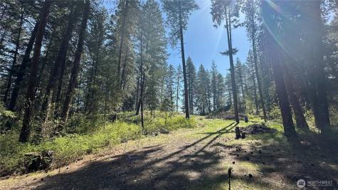 13 Sundance Lane Winthrop WA 98862