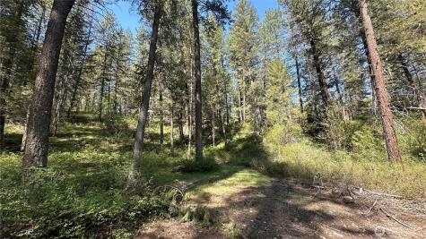 13 Sundance Lane Winthrop WA 98862