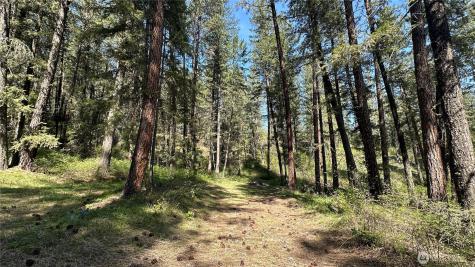 13 Sundance Lane Winthrop WA 98862