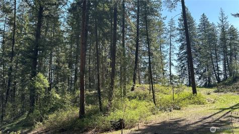 13 Sundance Lane Winthrop WA 98862