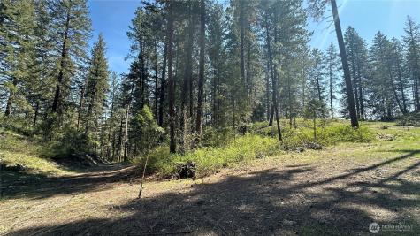 13 Sundance Lane Winthrop WA 98862