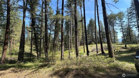 13 Sundance Lane Winthrop WA 98862