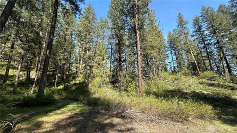13 Sundance Lane Winthrop WA 98862