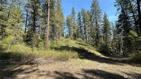 13 Sundance Lane Winthrop WA 98862