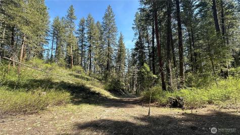 13 Sundance Lane Winthrop WA 98862