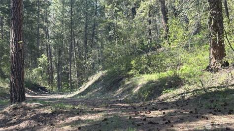 13 Sundance Lane Winthrop WA 98862