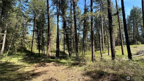 13 Sundance Lane Winthrop WA 98862