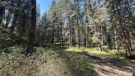 13 Sundance Lane Winthrop WA 98862