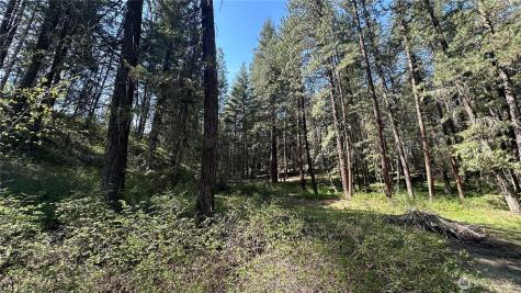 13 Sundance Lane Winthrop WA 98862