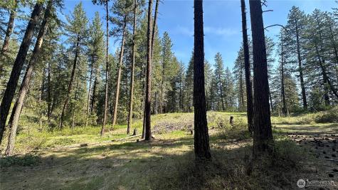 13 Sundance Lane Winthrop WA 98862