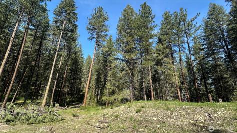 13 Sundance Lane Winthrop WA 98862