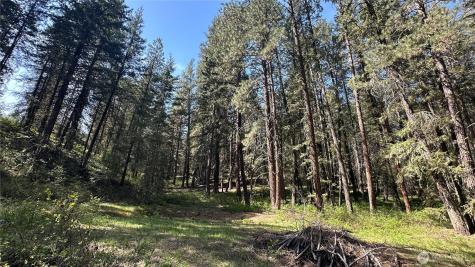 13 Sundance Lane Winthrop WA 98862