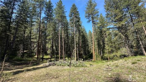 13 Sundance Lane Winthrop WA 98862