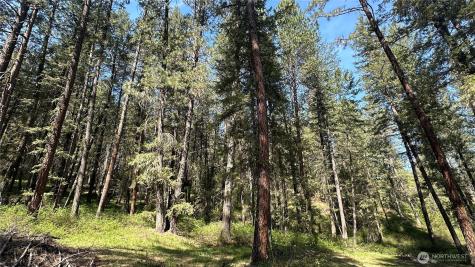 13 Sundance Lane Winthrop WA 98862