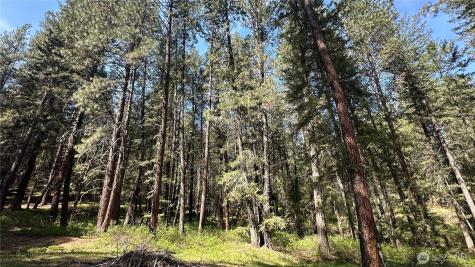 13 Sundance Lane Winthrop WA 98862