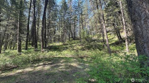13 Sundance Lane Winthrop WA 98862