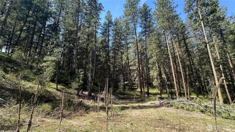 13 Sundance Lane Winthrop WA 98862