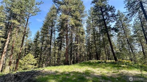13 Sundance Lane Winthrop WA 98862