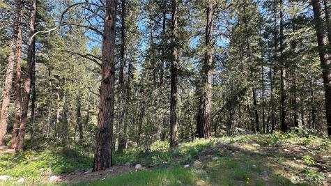 13 Sundance Lane Winthrop WA 98862