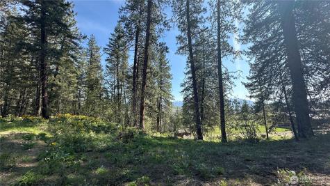 13 Sundance Lane Winthrop WA 98862