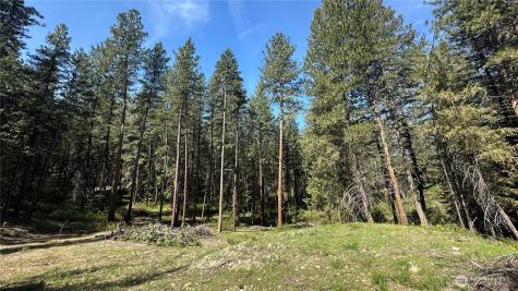 13 Sundance Lane Winthrop WA 98862