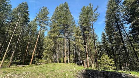 13 Sundance Lane Winthrop WA 98862