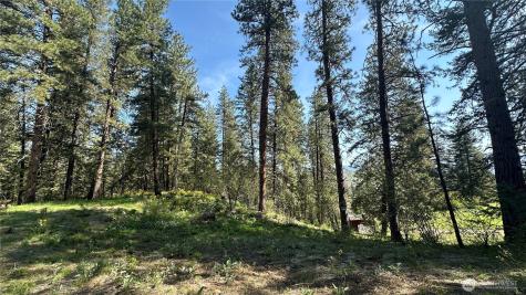 13 Sundance Lane Winthrop WA 98862