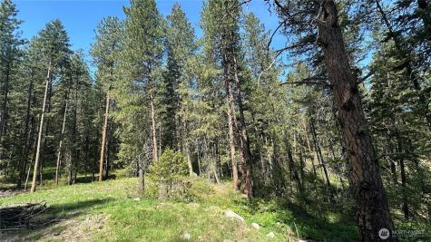 13 Sundance Lane Winthrop WA 98862