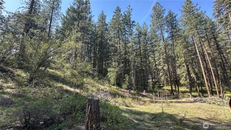 13 Sundance Lane Winthrop WA 98862