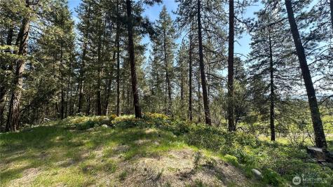 13 Sundance Lane Winthrop WA 98862