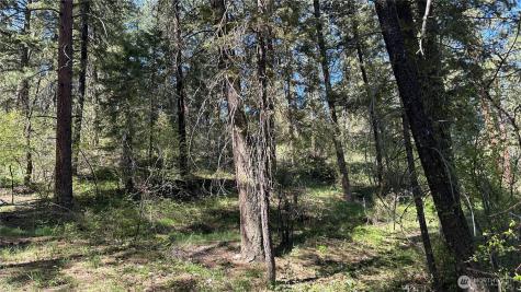 13 Sundance Lane Winthrop WA 98862