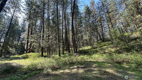13 Sundance Lane Winthrop WA 98862