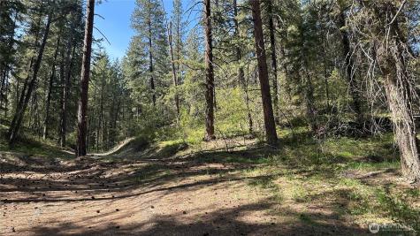 13 Sundance Lane Winthrop WA 98862