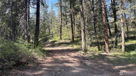 13 Sundance Lane Winthrop WA 98862
