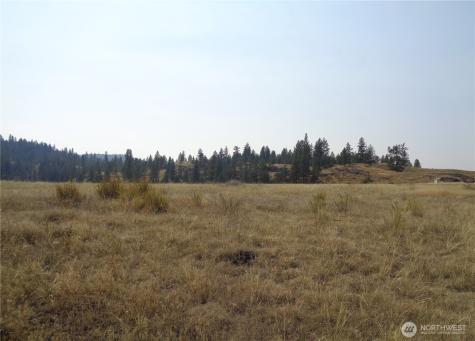 337 Watoka Way Tonasket WA 98855