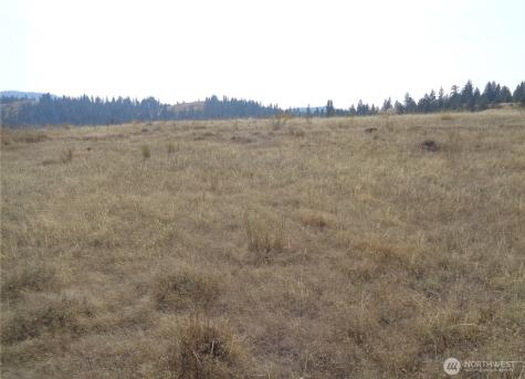 337 Watoka Way Tonasket WA 98855