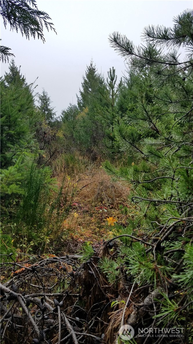 1140 W California Road Shelton WA 98584
