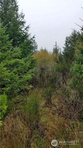 1140 W California Road Shelton WA 98584