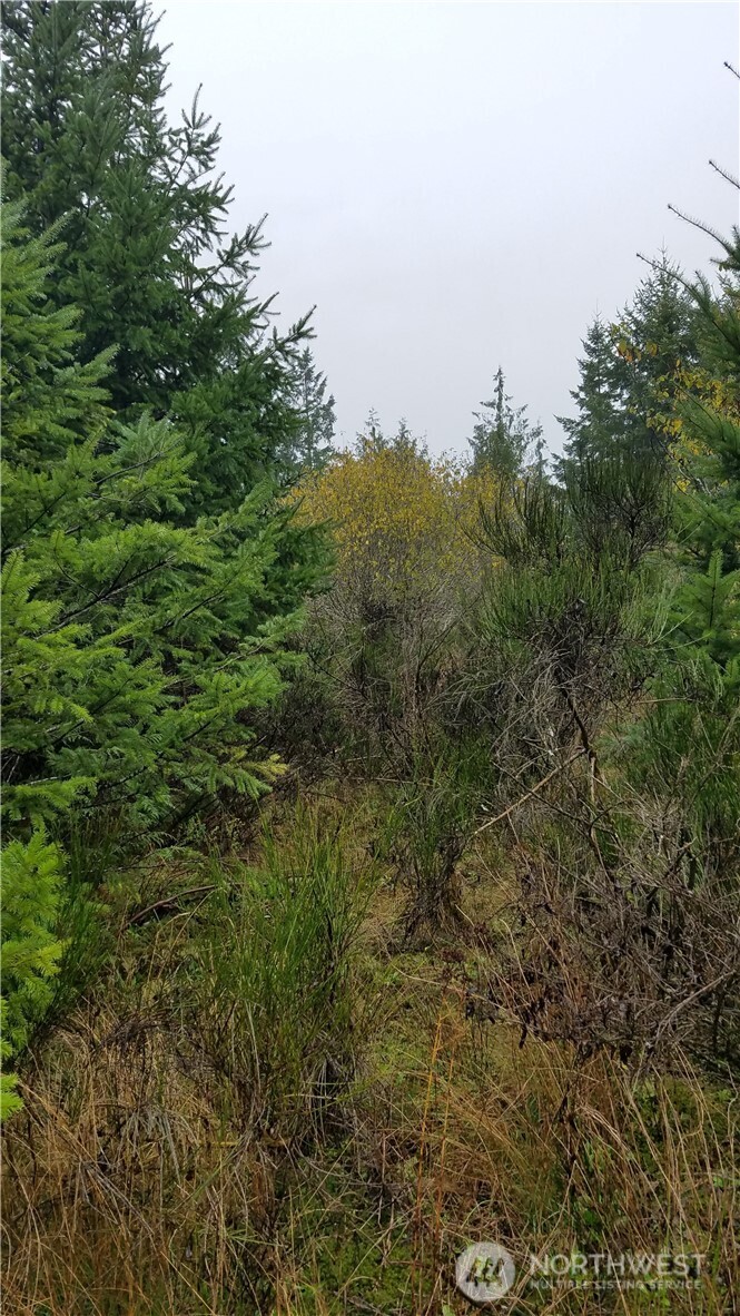 1140 W California Road Shelton WA 98584