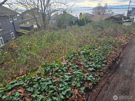 52 SW Canada Drive Seattle WA 98136