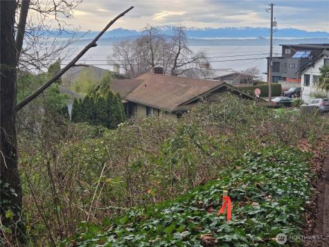 52 SW Canada Drive Seattle WA 98136