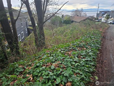 52 SW Canada Drive Seattle WA 98136