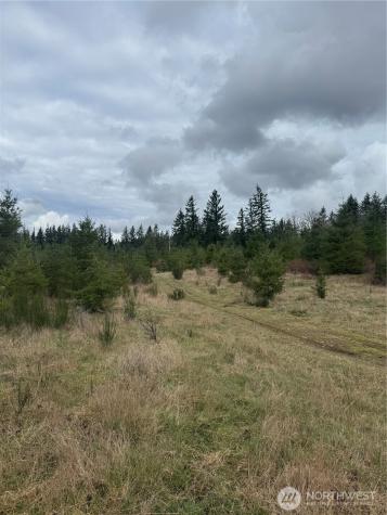 31101 SE Retreat-kanaskat Road Ravensdale WA 98051