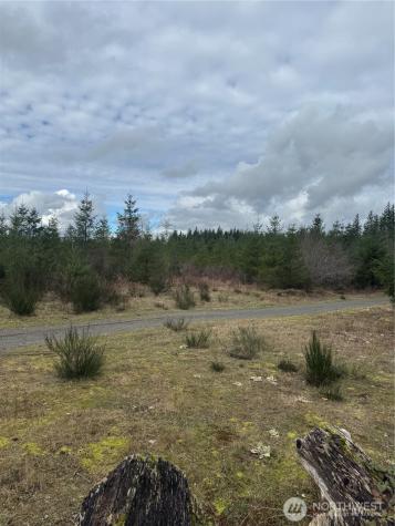 31101 SE Retreat-kanaskat Road Ravensdale WA 98051