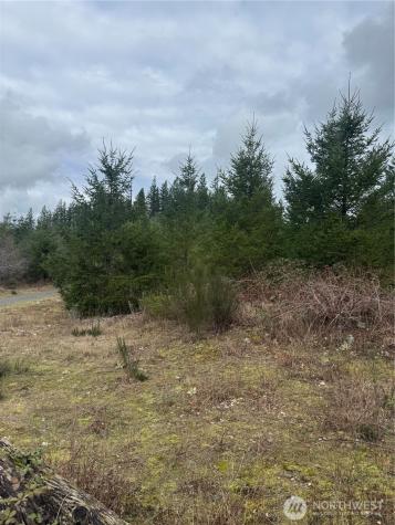31101 SE Retreat-kanaskat Road Ravensdale WA 98051