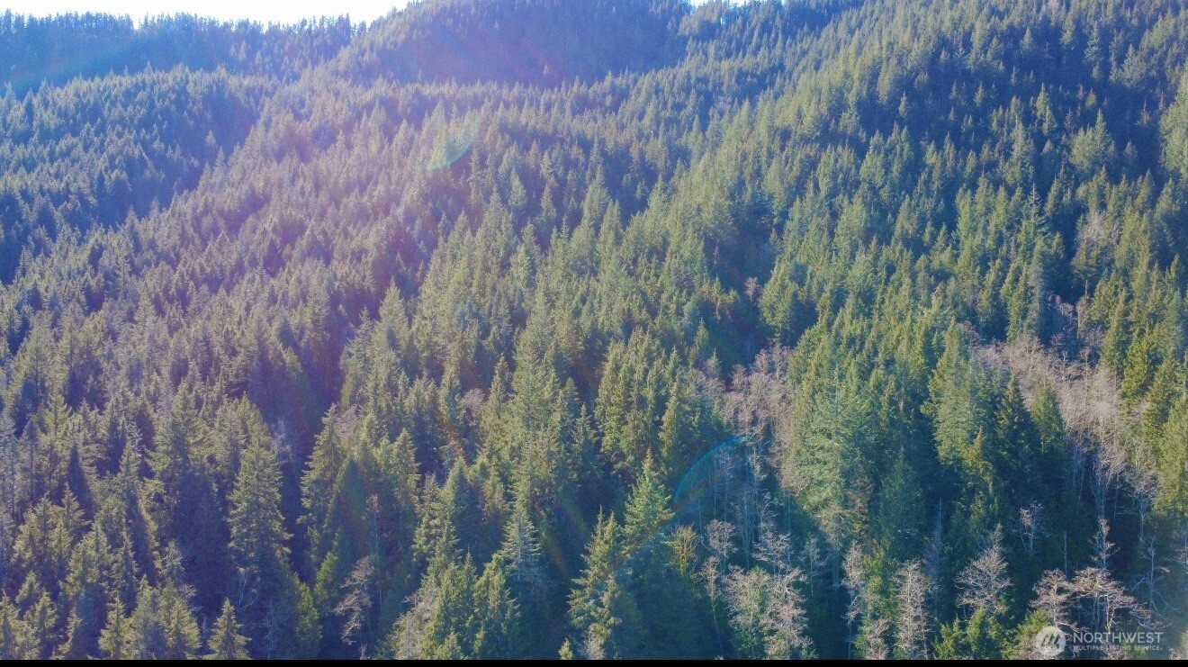34750 S Shore Drive Mount Vernon WA 98274